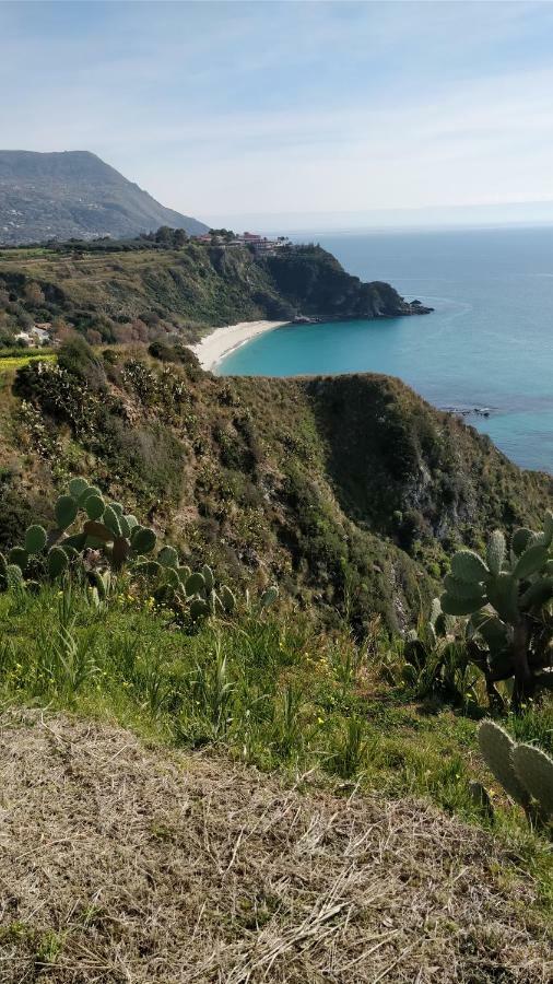 Apartament Dal Barone Agostino Capo Vaticano Zewnętrze zdjęcie